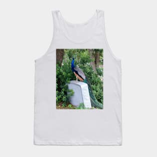 The Visitor Tank Top